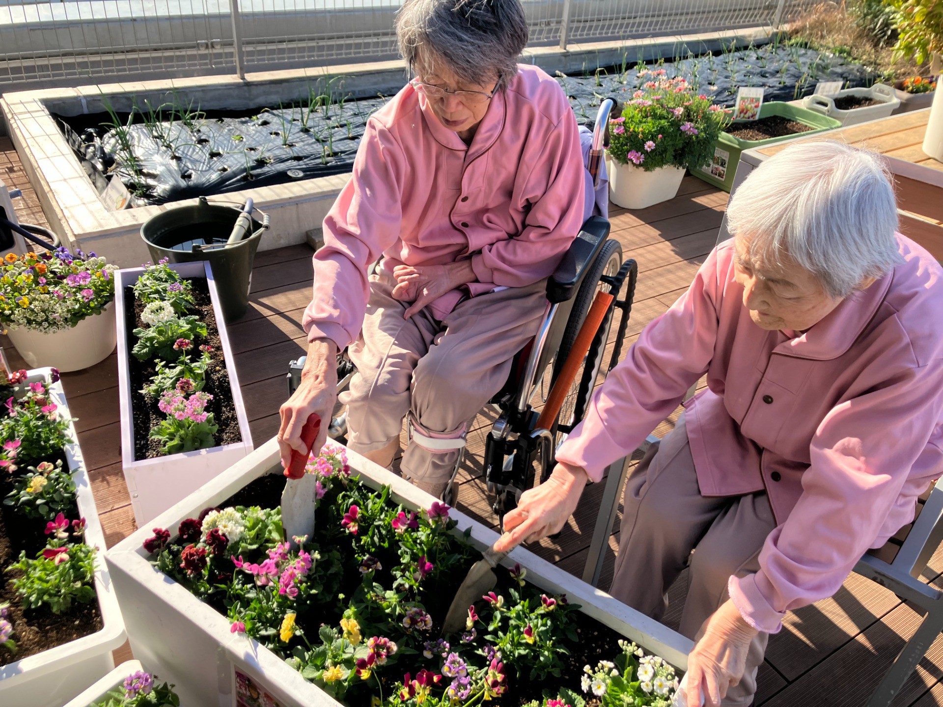 🎄カーメン君サンタからの贈り物🎁～カーメン君お花の苗プレゼント