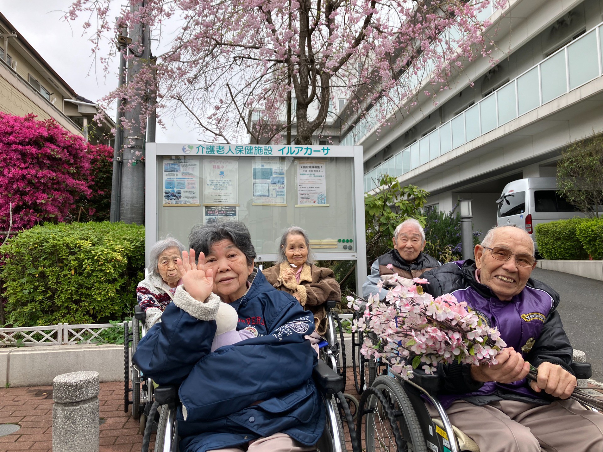 イルアカーサはお花見の季節です