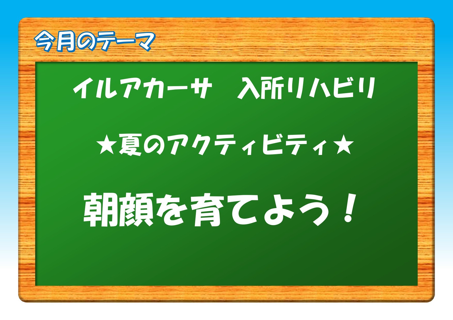 イルアカーサ朝顔！成長記録
