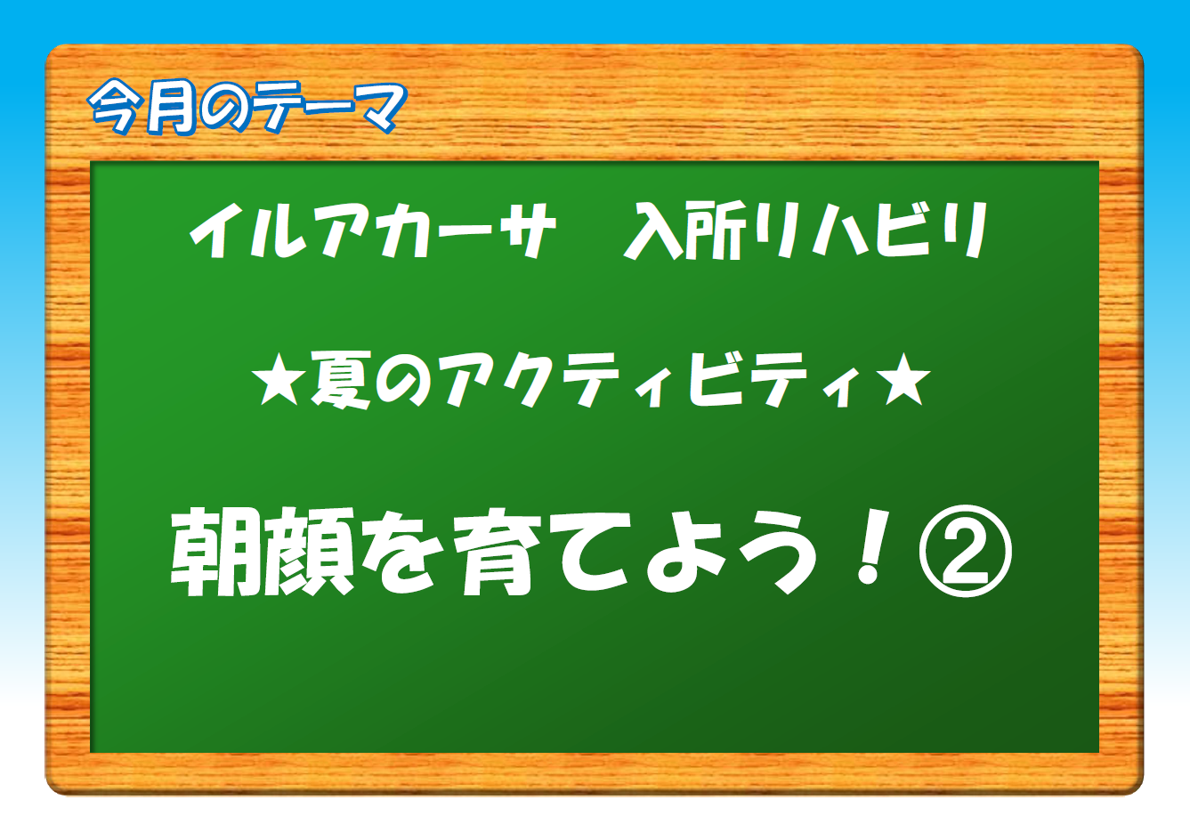 イルアカーサ朝顔！成長記録②　ついに開花いたしました！