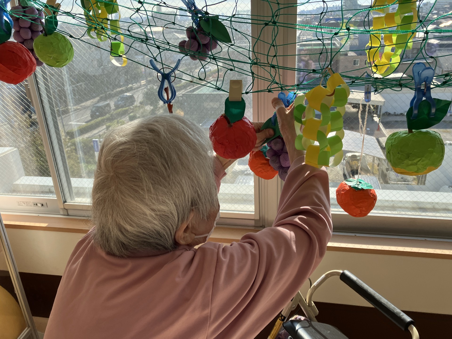 食欲の秋「ぶどう・りんご・柿狩りを体験しよう！」