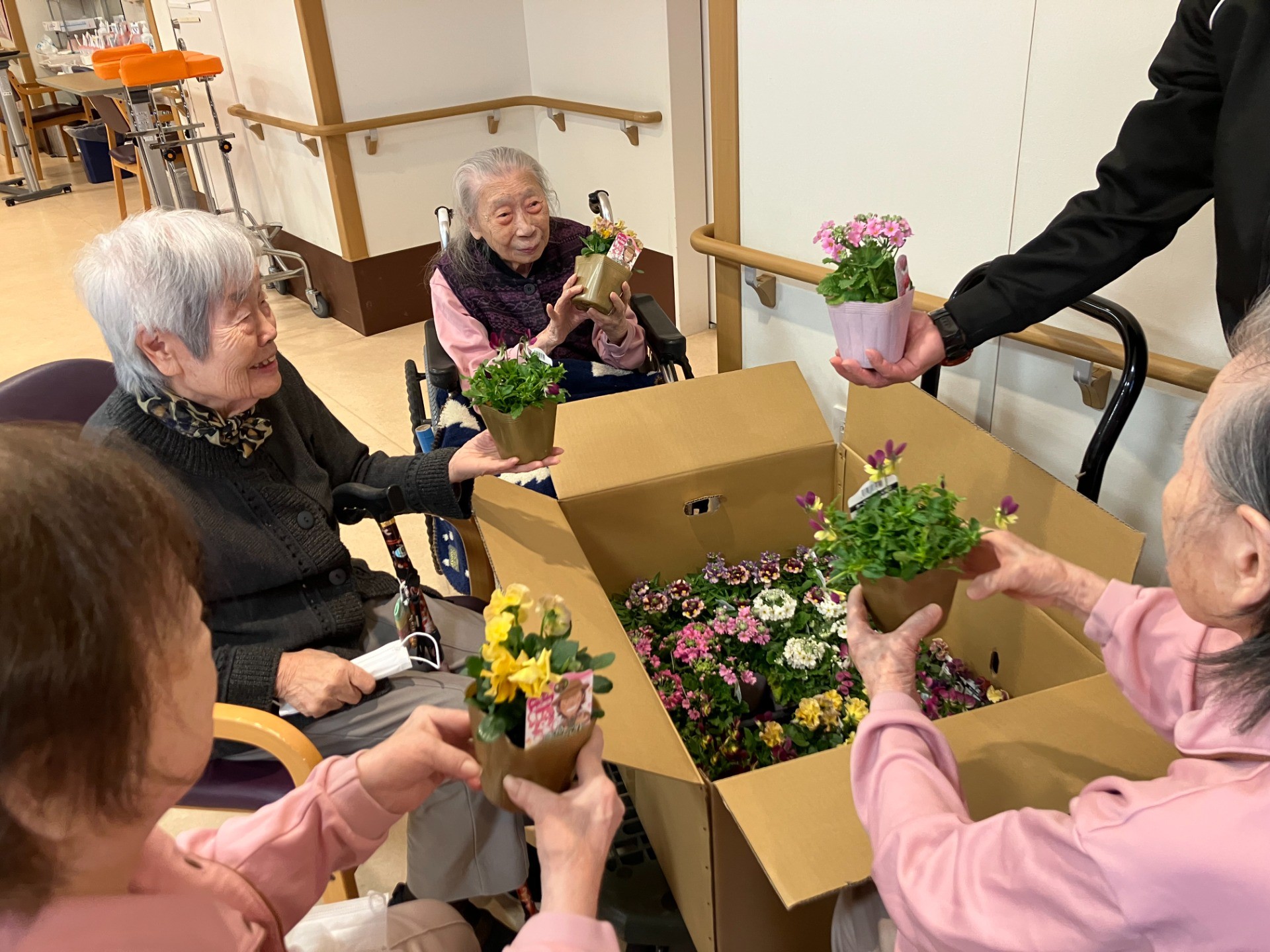 🎄カーメン君サンタからの贈り物🎁～カーメン君お花の苗プレゼントキャンペーンに当選しました～🌺