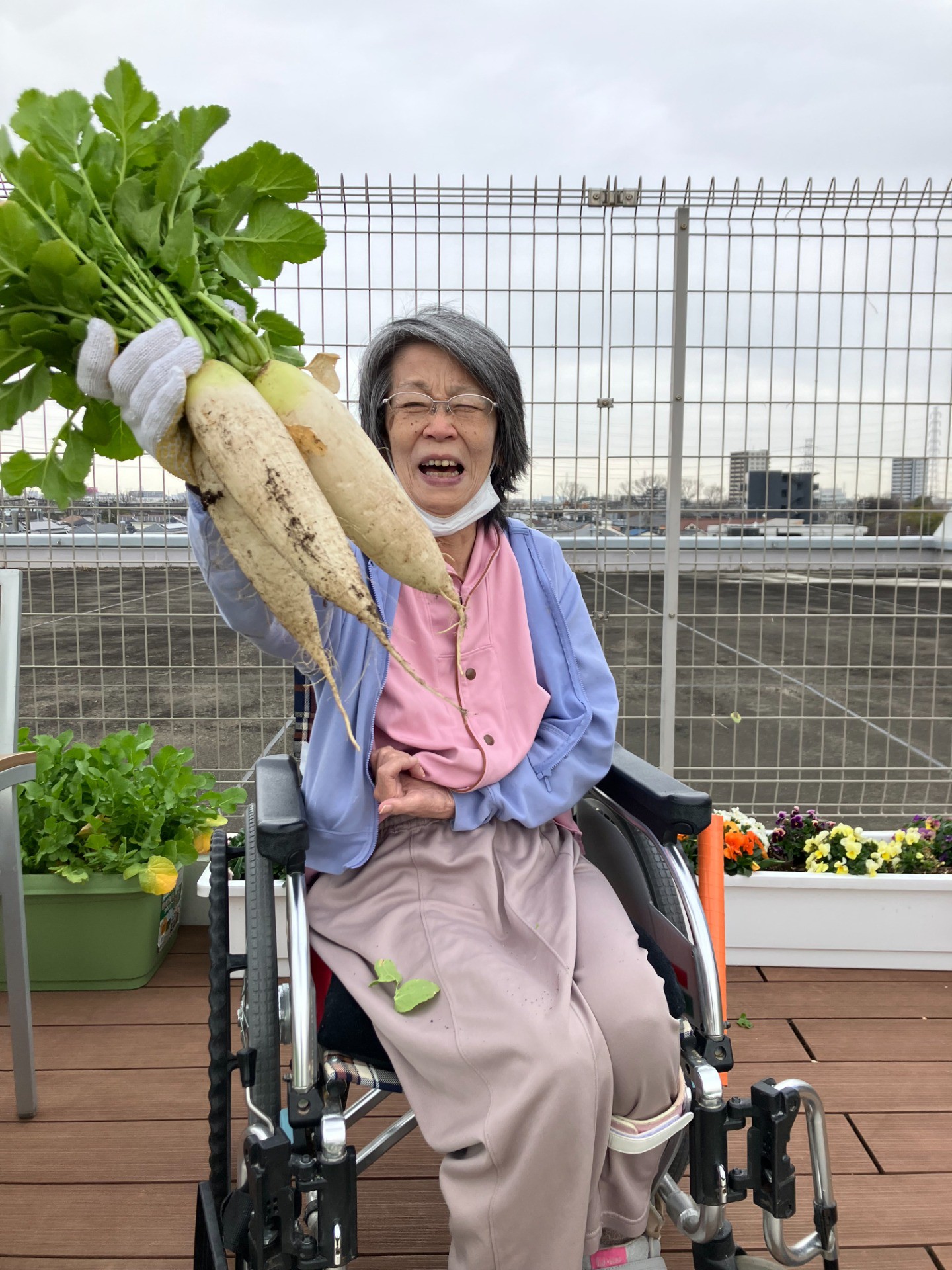 🍀大根収穫祭 ～25kgの大収穫！イルアカーサ農園～🍀