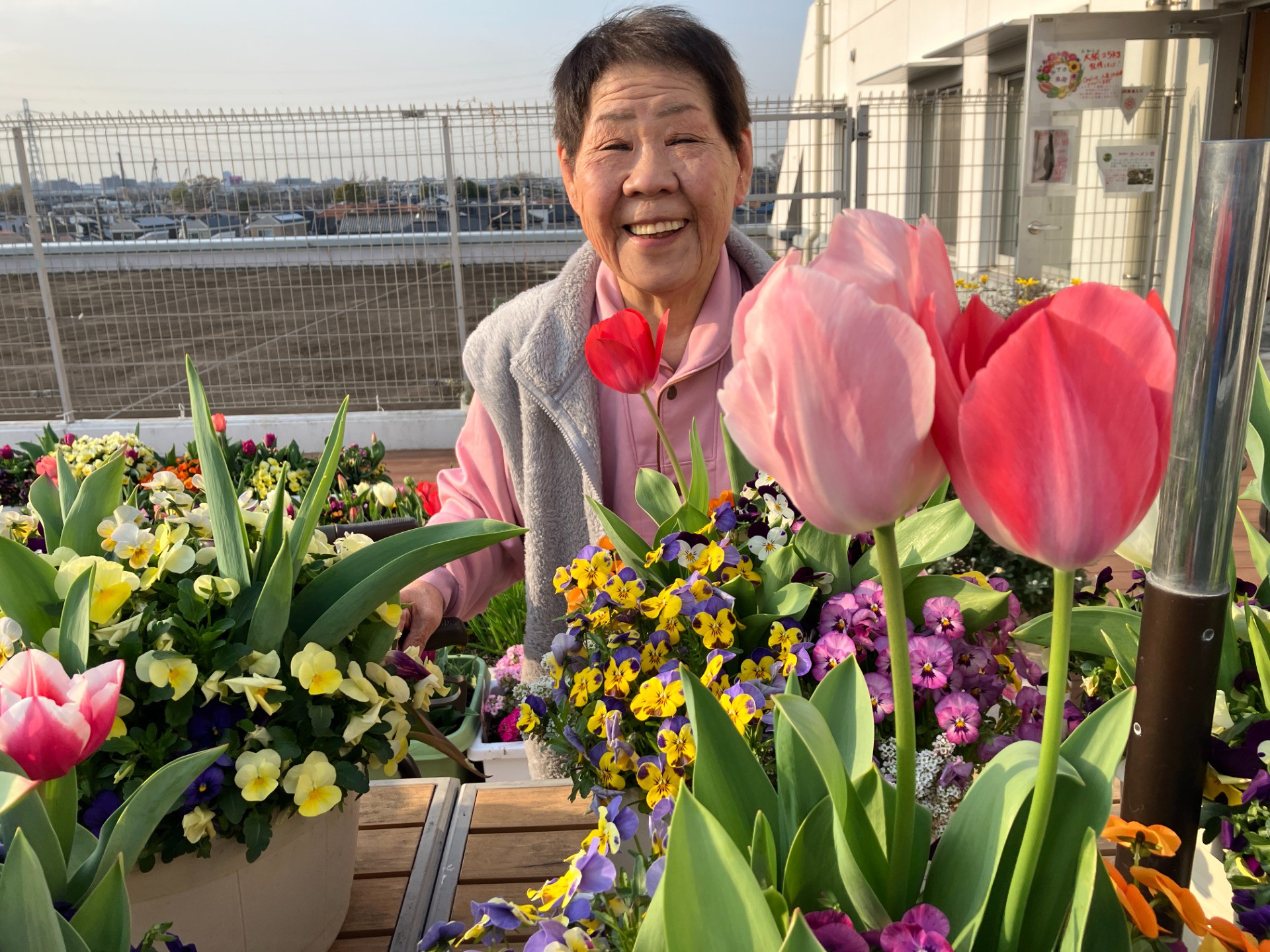 🌷花と笑顔が咲く ～イルアカーサフラワーズガーデン～🌷