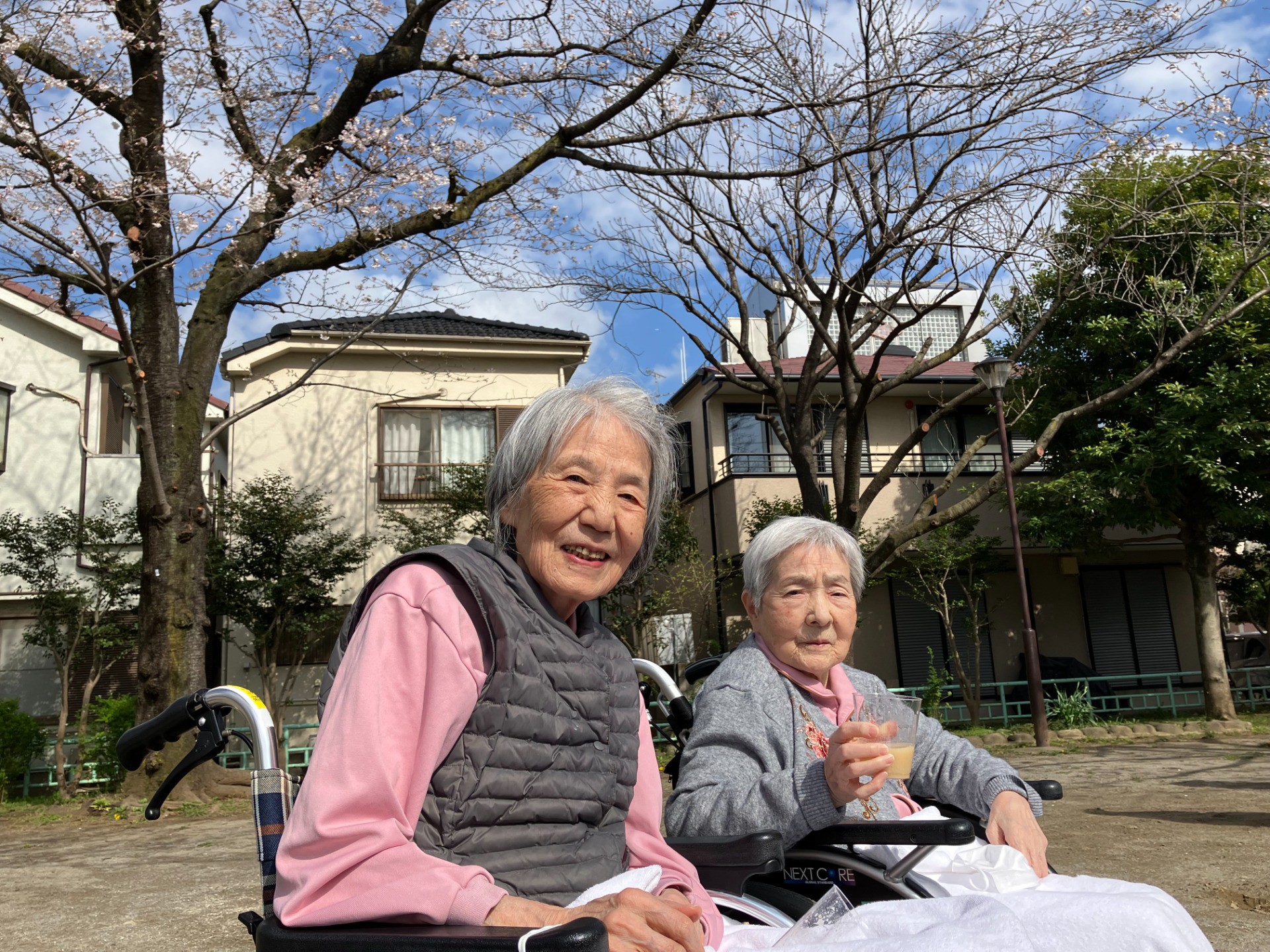 🌸春爛漫　～公園で桜を眺めながらお花見を楽しみました～🌸