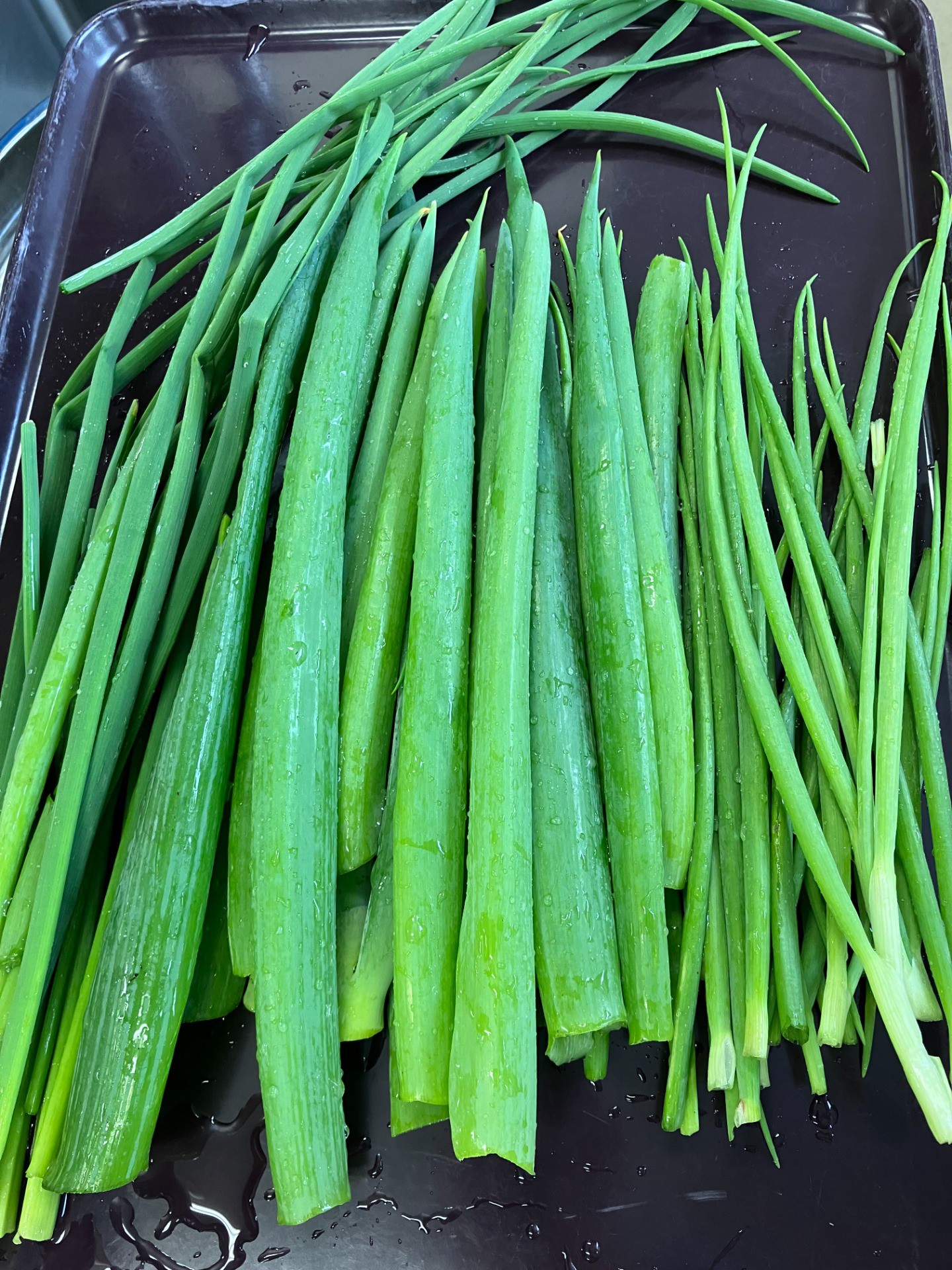 🌱イルアカーサ農園だより ～収穫した「ねぎ」を献立として提供しました～🌱