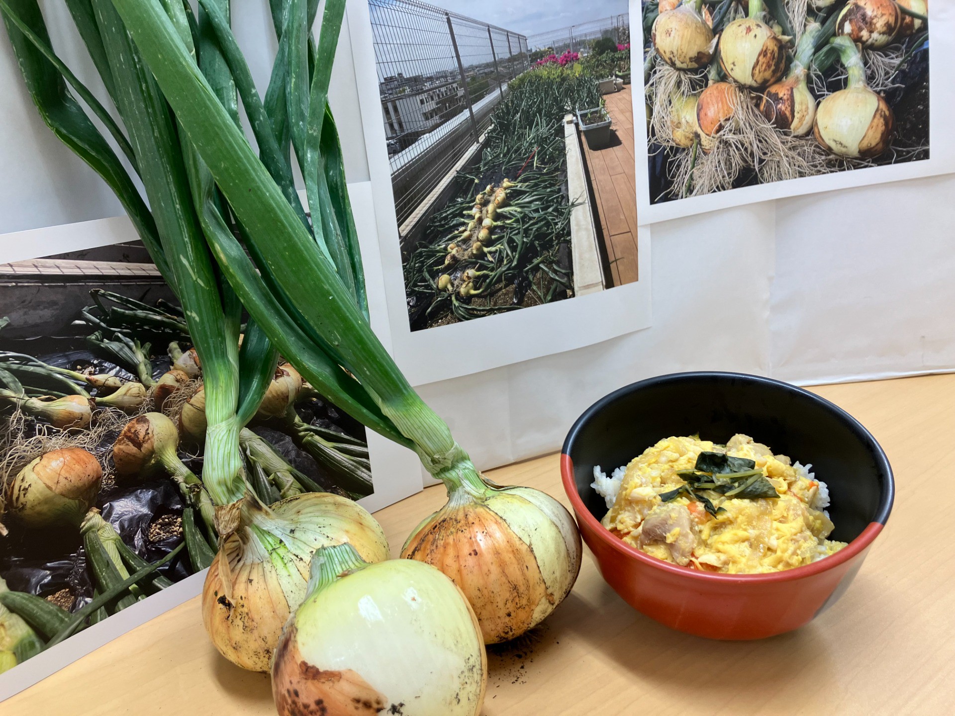 🌱イルアカーサ農園だより ～収穫した「玉ねぎ」を献立として提供しました～🌱