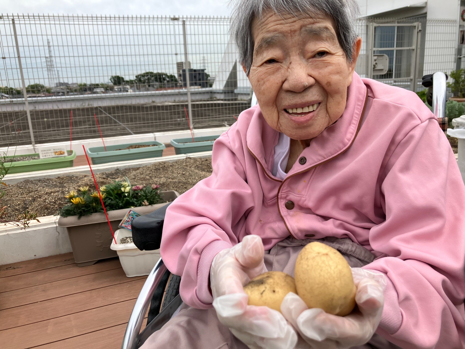 🌱🥔イルアカーサ農園だより ～じゃがいも収穫～🥔🌱